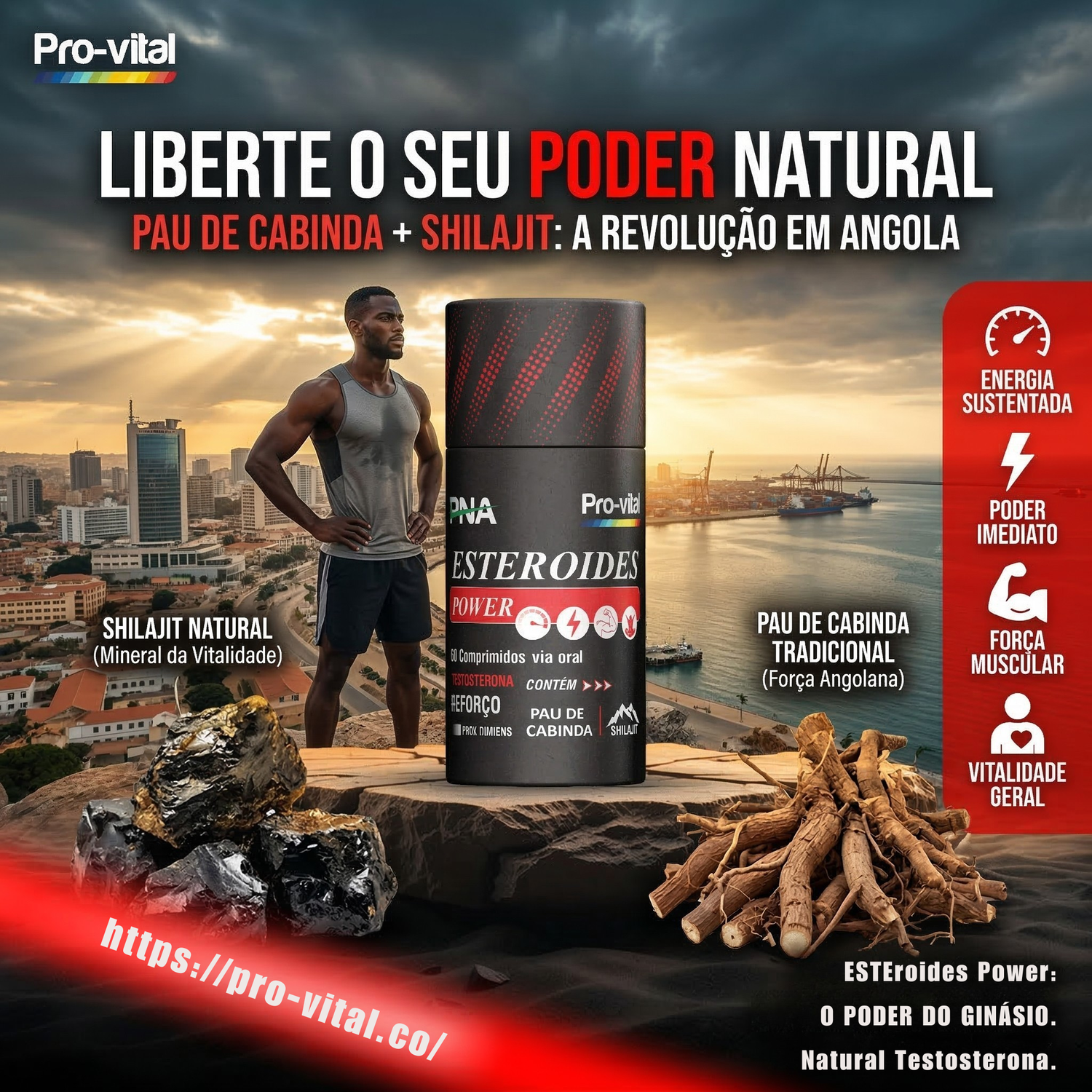 Suplemento ESTERoides Power para energia no ginásio e reforço natural de testosterona, com Pau de Cabinda e Shilajit em Angola