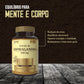 Infográfico dos benefícios da Ashwagandha Pro-vital: suporte à energia, vitalidade, equilíbrio emocional e redução de stress.