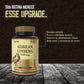 Infográfico dos benefícios do Ginseng Coreano Pro-vital: upgrade na rotina com foco, vitalidade mental e suporte ao desempenho físico.