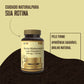 Embalagem de Ácido Hialurónico com Vitamina C da Pro-vital sobre uma superfície de madeira, promovendo a hidratação profunda da pele e o suporte ao colagénio.