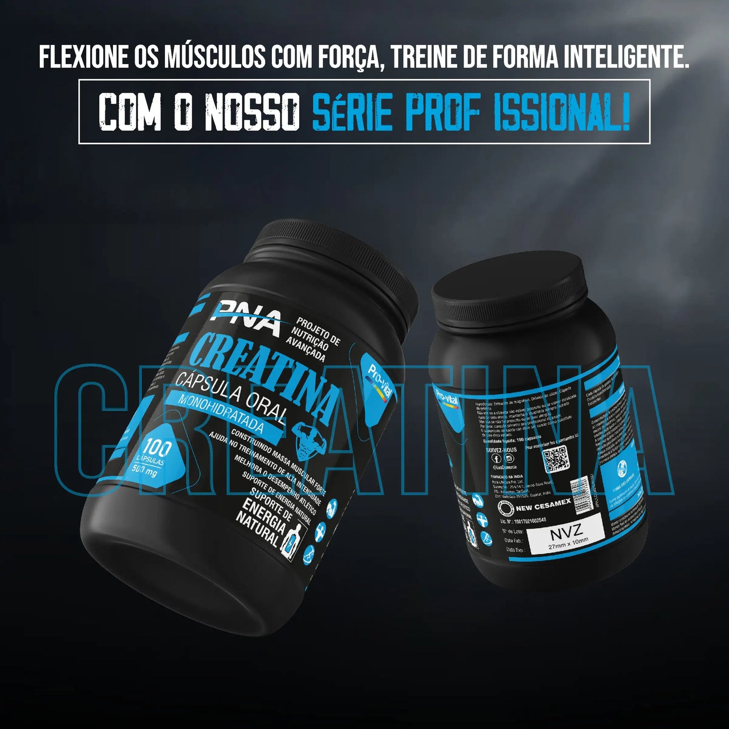 Pro-Vital PNA Creatina 500mg Caps Cx/100