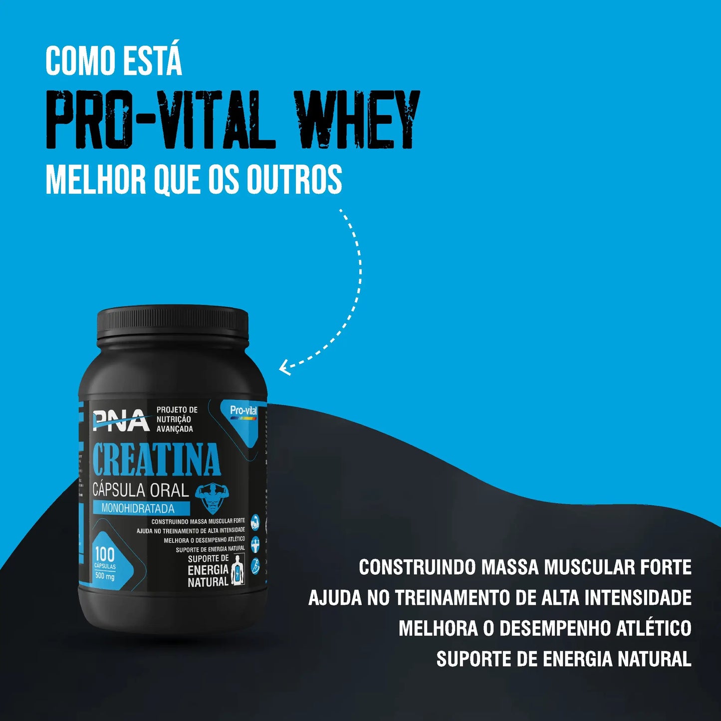 Pro-Vital PNA Creatina 500mg Caps Cx/100